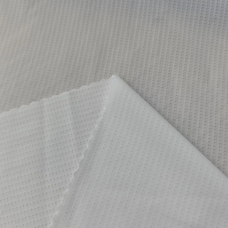 Nylon Spandex Hole-Point Warp Knit Fabric suppliers